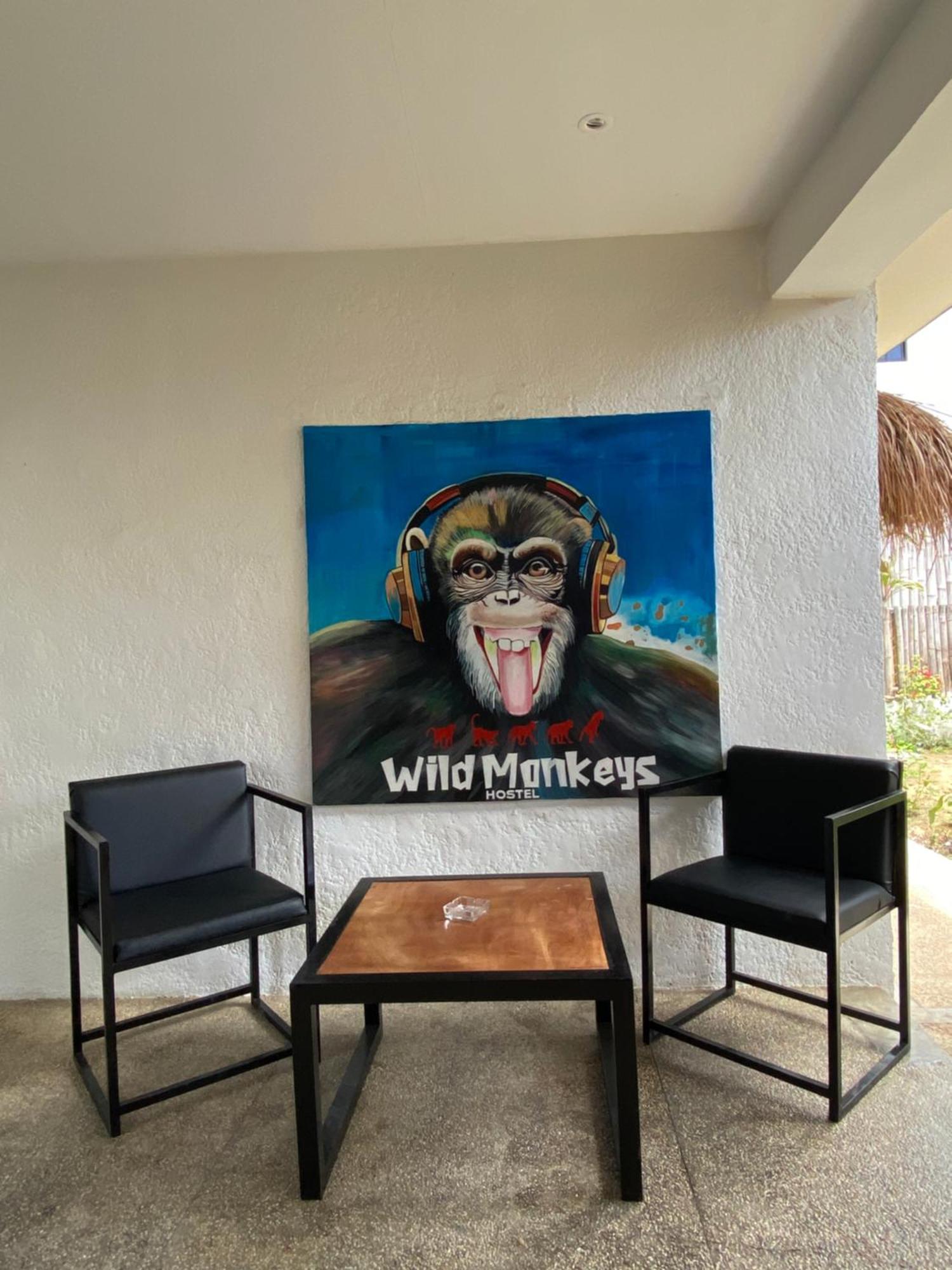 מואלבואל Wild Monkeys Hostel מראה חיצוני תמונה